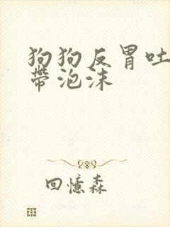 狗狗反胃吐黄水带泡沫封面