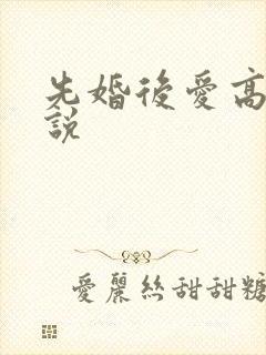 先婚后爱高干小说封面