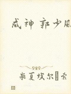 成神 郭少风封面