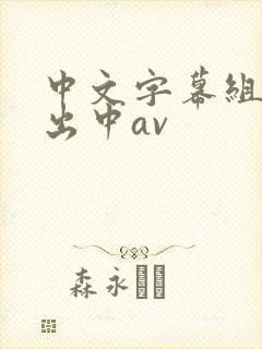 中文字幕组人妻出中av封面