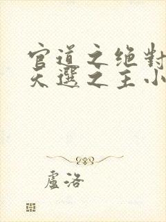 官道之绝对权力天选之主小说全篇