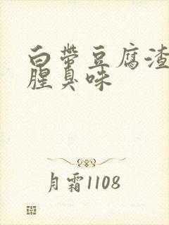 白带豆腐渣状,腥臭味