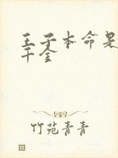 王子本命是恶奴千金