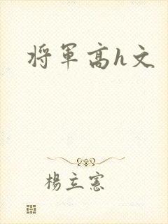 将军高h文