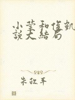 小莹和俊凯的小说大结局