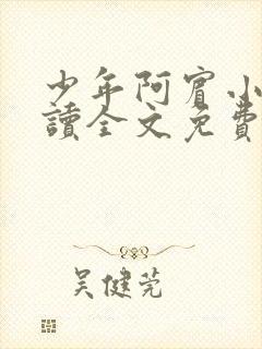 少年阿宾小说阅读全文免费无删减