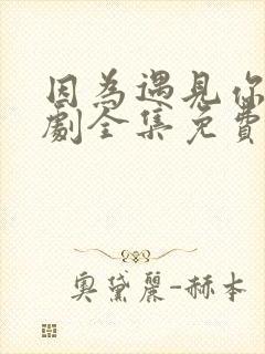 因为遇见你电视剧全集免费观看