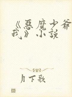 《恶魔少爷别惹我》小说