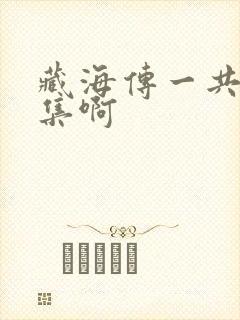 藏海传一共多少集啊封面