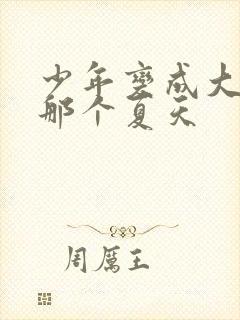 少年变成大人的那个夏天封面