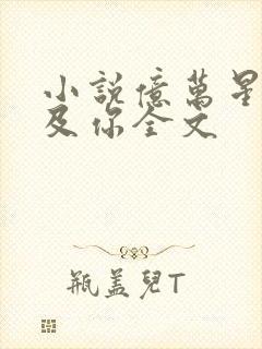 小说亿万星辰不及你全文