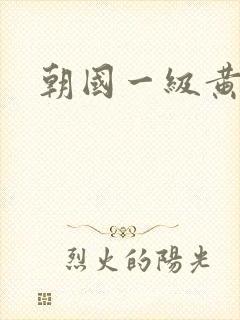 朝国一级黄色片