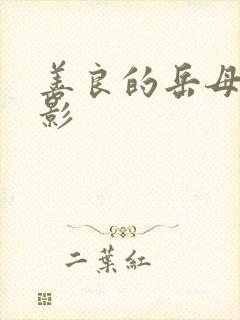 善良的岳母2电影