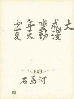 少年变成大人的夏天动漫