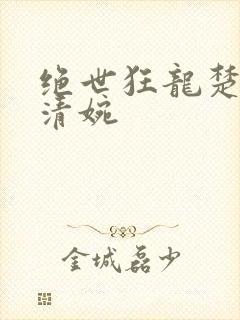 绝世狂龙楚云林清婉封面