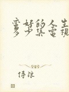 蛮好的人生一共多少集电视剧