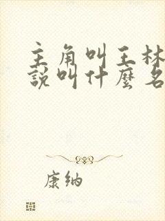 主角叫王林的小说叫什么名字封面