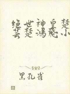 绝世神皇楚风楚芸楚鸿飞小说封面