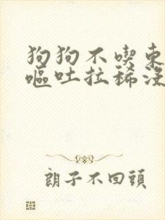 狗狗不吃东西还呕吐拉稀没精神怎么办封面