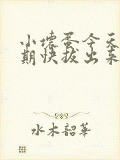 小坏蛋今天危险期快拔出来