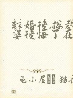 离婚后,总裁老婆后悔了在线阅读