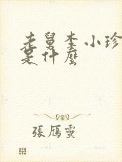 老舅李小珍结局是什么