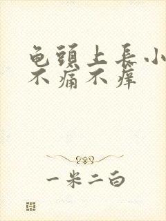 龟头上长小肉粒不痛不痒