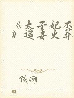 《太子妃不干了》追妻火葬场