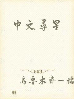 中文寻星