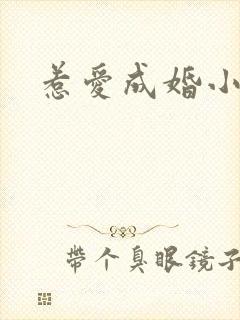 惹爱成婚小说封面