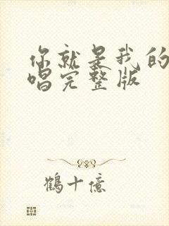 你就是我的人原唱完整版封面