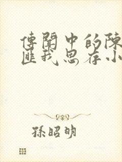 传闻中的陈芊芊匪我思存小说