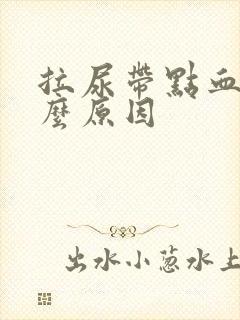 拉尿带点血是什么原因