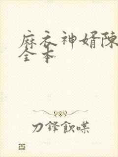 麻衣神婿陈黄皮全本