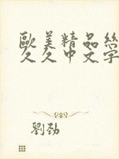 欧美精品丝袜久久久中文字幕