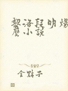 黎洛段明炀是什么小说
