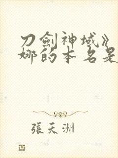 刀剑神域》亚丝娜的本名是什么