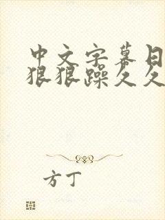 中文字幕日日碰狠狠躁久久躁