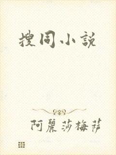 搜同小说