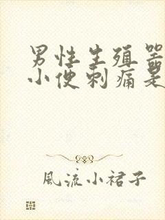 男性生殖器流脓小便刺痛是怎么回事