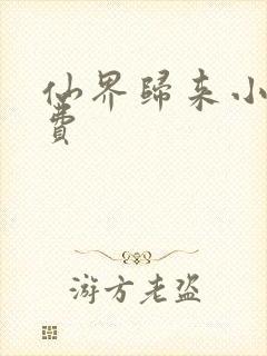 仙界归来小说免费封面