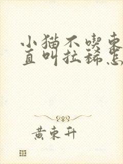 小猫不吃东西一直叫拉稀怎么办封面