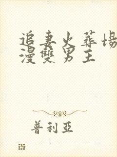 追妻火葬场的韩漫双男主