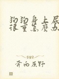 狗狗身上尿骚味很重怎么办