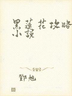黑莲花攻略手册小说