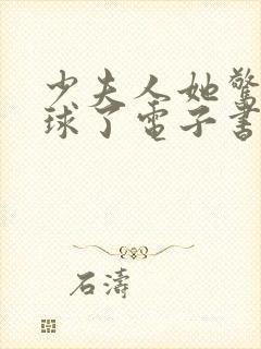 少夫人她惊艳全球了电子书