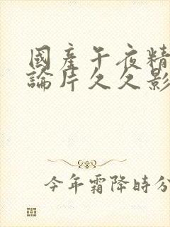 国产午夜精品理论片久久影院