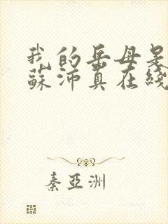 我的岳母是林道苏沛真在线阅读