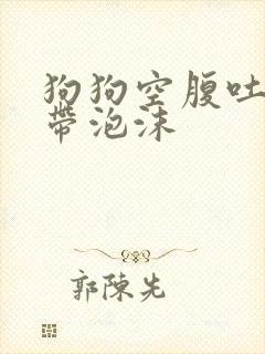 狗狗空腹吐黄水带泡沫