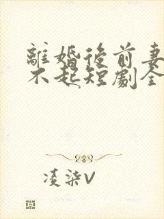 离婚后前妻高攀不起短剧全集封面